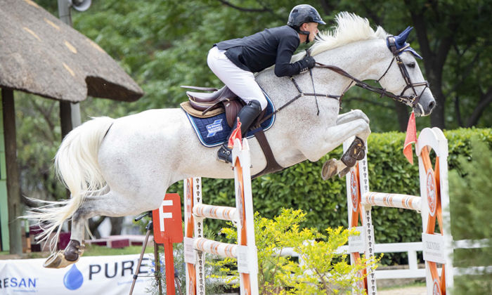 SA showjumping