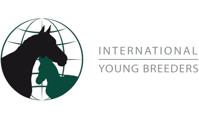 iyb logo