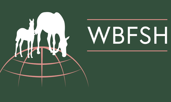 wbfsh logo
