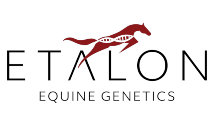 etalon logo