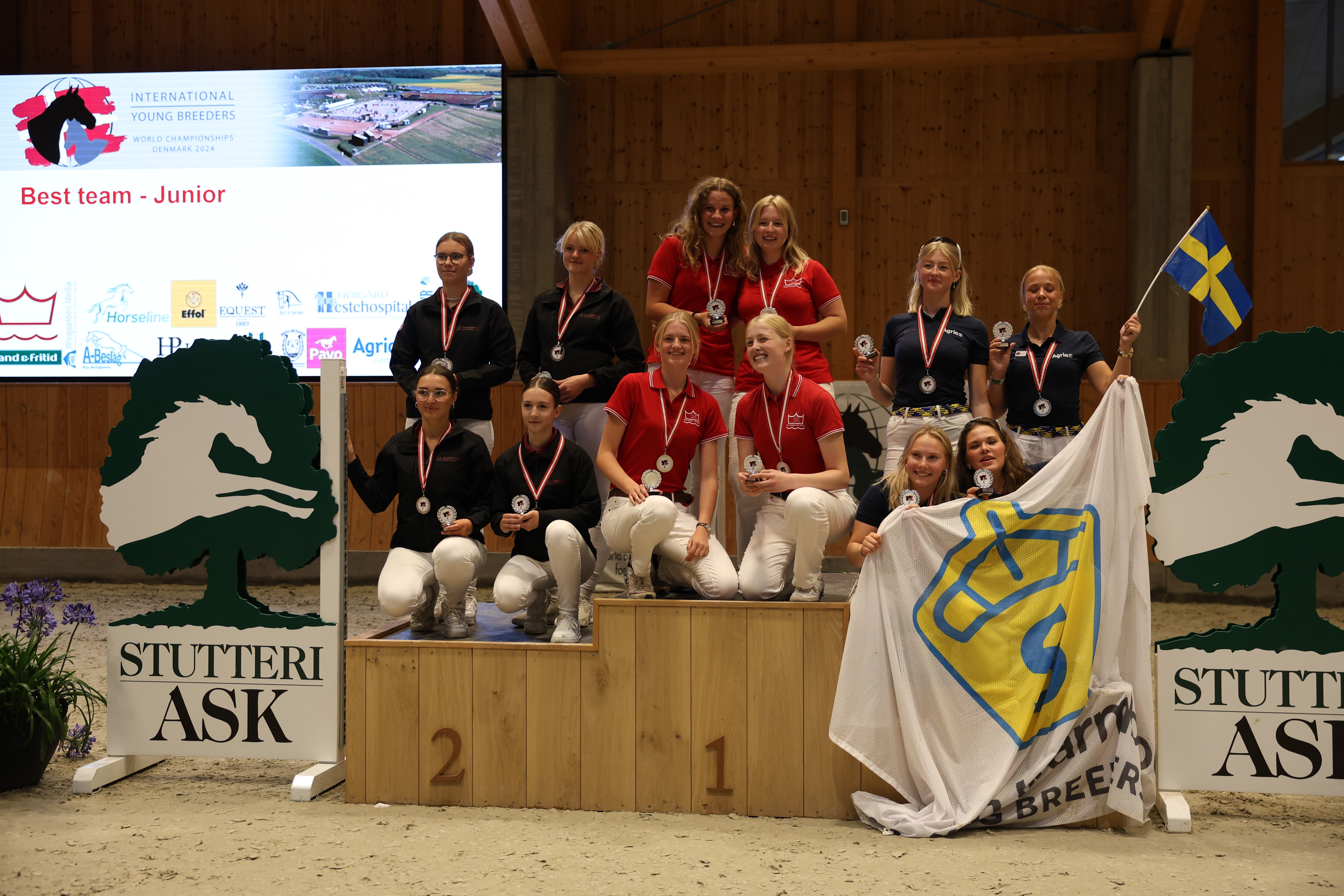 Photo 3: Best team - Junior: Danish Warmblood gold, silver Pferdezuchtverband Sachsen-Thüringen e.V. bronze Swedish Warmblood. Photo: Ridehesten.com