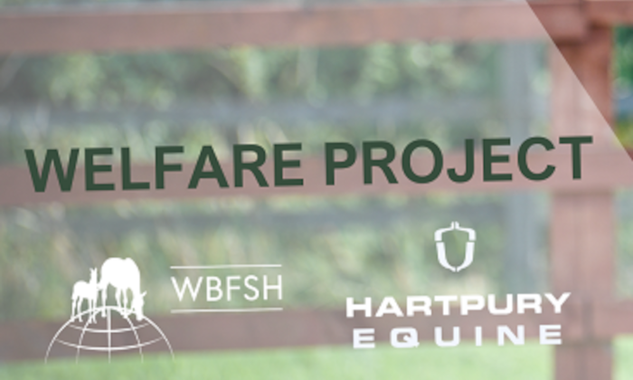 Welfare Project presentation