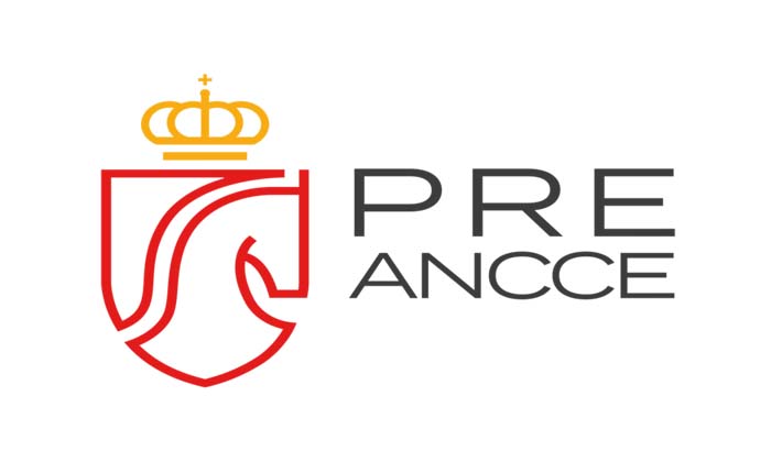 pre-ANCCE logo