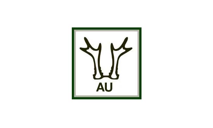 RHEIN-AU logo