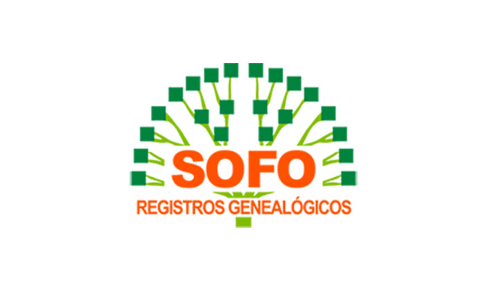 SOFO logo