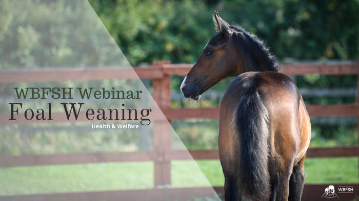 Weaning Video Thumbnail